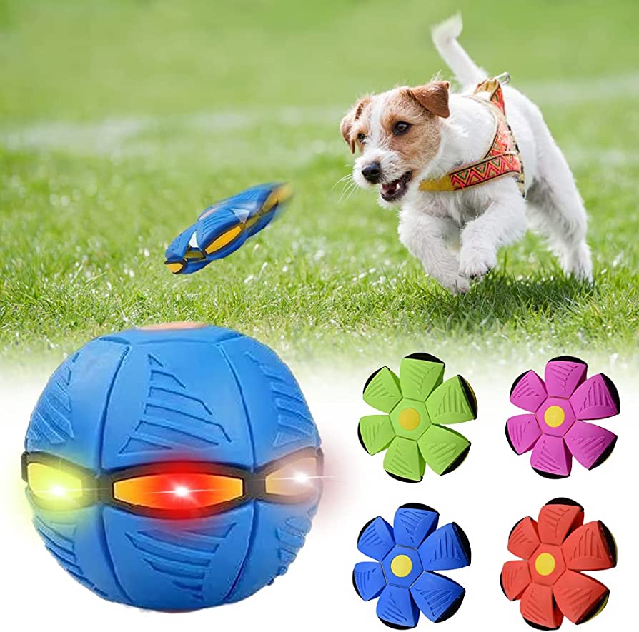 Best for Pets™ Dog Frisbee