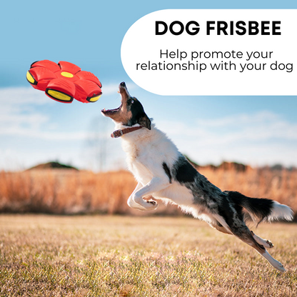 Best for Pets™ Dog Frisbee