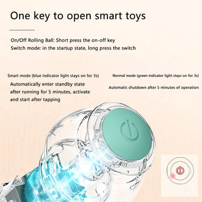 Best for pets Interactive Ball