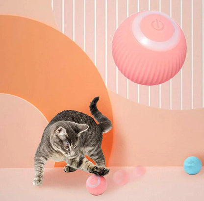 Best for pets Interactive Ball