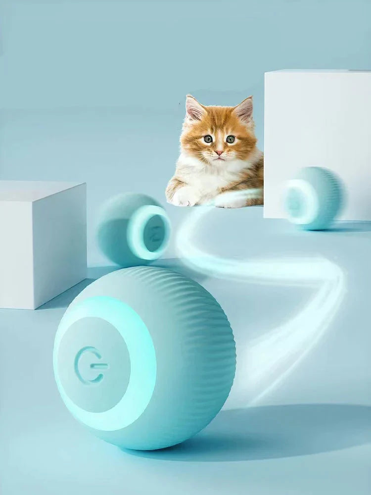 Best for pets Interactive Ball
