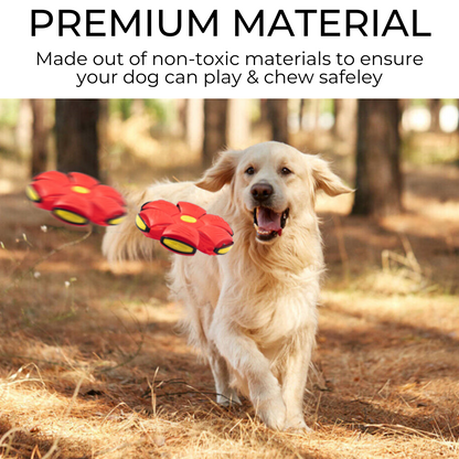 Best for Pets™ Dog Frisbee