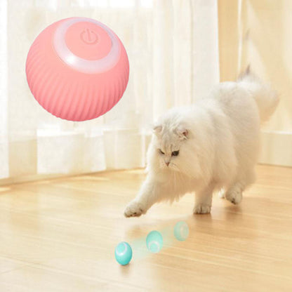Best for pets Interactive Ball