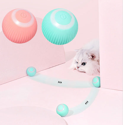 Best for pets Interactive Ball